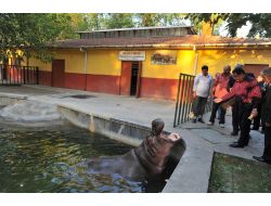 Başkan Gökçek Hayvanat Bahçesi’ni Gezdi