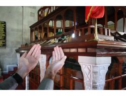 Harakani Sempozyumu İçin Hazırlıklar Son Aşamaya Geldi