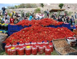 Melikgazi'de, Ceviz Ve Gilaboru Şenliği Düzenliyor