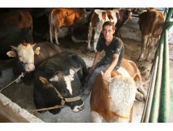 Kurban Pazarında Sahte Para Kurbanı Olmayın