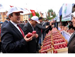Göksunlu Çiftçilerin Yeni Sloganı: Meyvenin Âlası, Göksun'un Elması