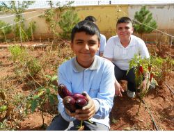 Öğrenciler, Uygulama Bahçesinde Ürünlerini Topladı