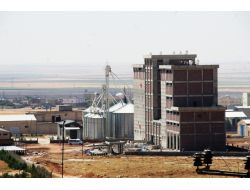 Mardin’de 2. Osb’nin Arsa Sorunu Çözüldü