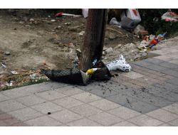 Kütahya'da Şüpheli Çanta Hayatı Felç Etti