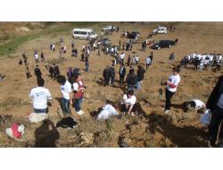 Bitlis Eren Üniversitesi'nde Her Öğrencinin Bir Dikili Ağacı Var