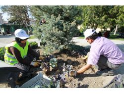 Çubuk, Çiçeklerle Süsleniyor