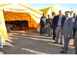 Gölbaşı Belediyesi, Haymana Yolu Üzerinde Kurban Pazarı Açtı