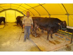 Yozgat’ta Kurban Pazarı Kuruldu