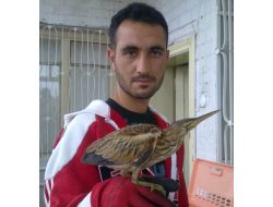 Nevşehirli Çiftçi, Dünyada Nadir Bulunan Kuşu Kapı Önünde Buldu