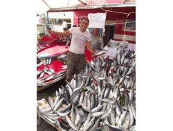 Balıkçı Tezgahlarında Palamut Bolluğu