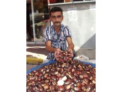 Kış Mevsiminin Habercisi Kestane Pazara İndi