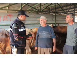 Jandarmadan Kurban Satıcılarına Dolandırıcılık Uyarısı