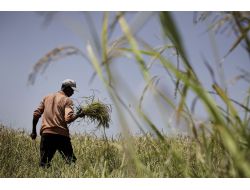 Kalkınmanın Fotoğrafları Adana’da