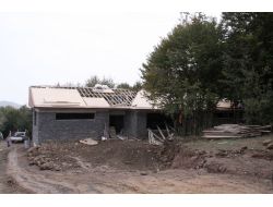 Haytap Temsilcisi Turan: Sahipsiz Hayvanlar Sokakta Yaşamaya Devam Edecek