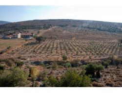 Petkim Beş Yılda 500 Dönüm Orman Kuracak