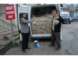 Kış Yaklaştı, Taşköprü Sarımsağına İlgi Arttı