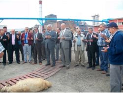 Turhal Şeker Fabrikası Pancar Alımına Başladı