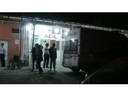 Pikap İneğe Çarptı: 2’si Ağır 5 Yaralı