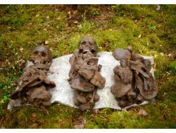 Rusya'da Ormanlık Alanda Askeri Mühimmat Bulundu