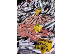 5 Balık Türünde Ağır Metaller Çıktı, Tüketici Sağlığı Tehlikede Olabilir