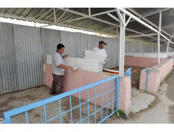 Mezbaha Ve Hayvan Pazarında Bayram Hazırlığı Yapılıyor