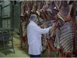 Afyonkarahisar’da Sağlıklı Kırmızı Et İçin Yeni Uygulama Başlatıldı