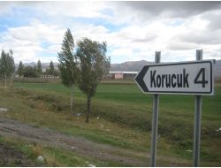 Hasbi Gülen, Korucuk'ta Toprağa Verilecek