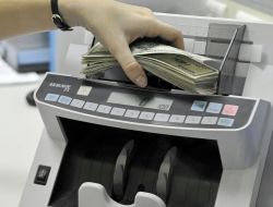 “nakit Çıkışı Rusya Ekonomisinin Aşırı Isınmasına Engel Oluyor”