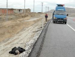 Afyonkarahisar'da Yol Kenarında Erkek Cesedi Bulundu
