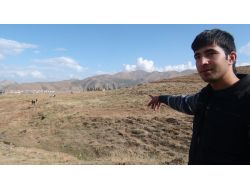 Üniversitenin 30 Bin Ağacını Keçiler Yedi