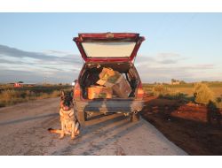 Adana'da Terör Örgütü Bağlantılı 50 Kilo Esrar Ele Geçirildi