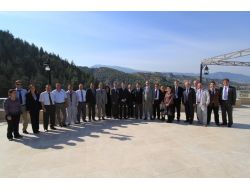 Marmara, Ege Ve Akdeniz Bölgelerinde 60 Milyon Fidan Dikilecek