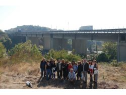 Araçlardaki Karbon Salınımını Telafi Etmek İçin Fidan Diktiler