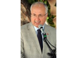 Zeytin Hasat Sezonu Manisa'nın Akhisar İlçesinde Başladı