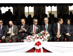 Arınç : Her İşin Başına Sağlığı Koyduk, Milletimizin Mutlu Olmasını İstiyoruz