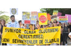 Hayvan Severler, Kedi, Köpekle Yürüyüp Düdük Çaldı