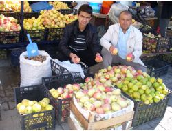 Kağızman'da 2. Uzun Elma Festivali Hazırlıkları Başladı