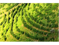 1 Milyon Hektar Alanda Erozyon Kontrol Çalışması Yapıldı