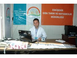 Turkvet Kaydı Olmayan Kurbanlıkların Satışına İzin Verilmeyecek