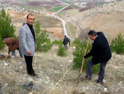 Araban Kaymakamlığı, Ağaçlandırmaya Öncülük Ediyor