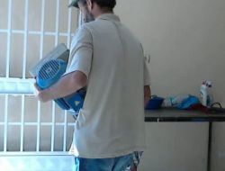 Su Motoru Ve Nevresim Hırsızları Kamerada..