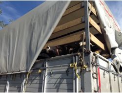 Bayramı Görmeden Mezbahaneyi Gördüler