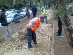 Çankaya Belediyesi, Şimşek Sokak'ı Yeniliyor