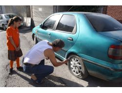 Araçların Lastiğini Kesen Şahıslar, Aranıyor