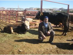 Kurban Satıcıları Fiyatların Düşüklüğünden Şikayetçi