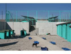 Vezirköprü'ye 5 Yıldızlı Hayvan Barınağı