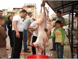 Manavgat Hem, 200 Kişiye Kurban Kesim Belgesi Verdi