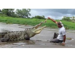 Dev Timsahla Oyun Sonunu Getiriyordu