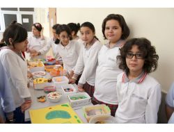 Kızılırmak’ta Hücre Modelli Sergi Açıldı