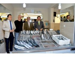 Başkan Arpacıoğlu, Balık Halini Ziyaret Etti